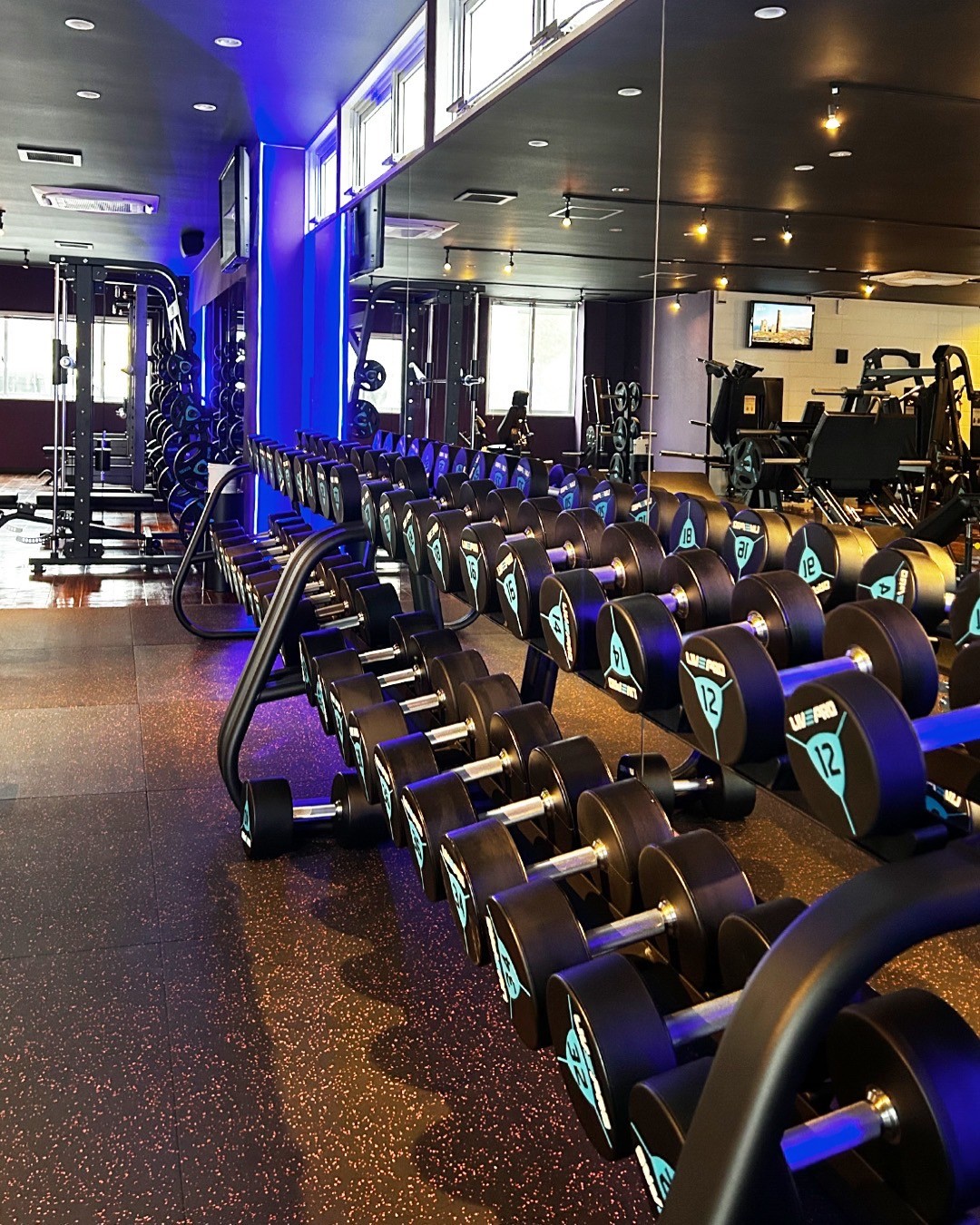 MUSCLE GYM ARAHA BEACH マッスルジム アラハビーチ 北谷町アラハの本格的なトレーニングジム